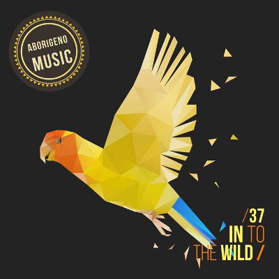 VA - In To The Wild (Vol.37) [ABMU082]